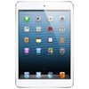 Apple iPad mini 16Gb Wi-Fi + Cellular белый - Новозыбков