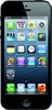 Apple iPhone 5 16GB - Новозыбков