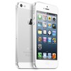 Apple iPhone 5 64Gb white - Новозыбков